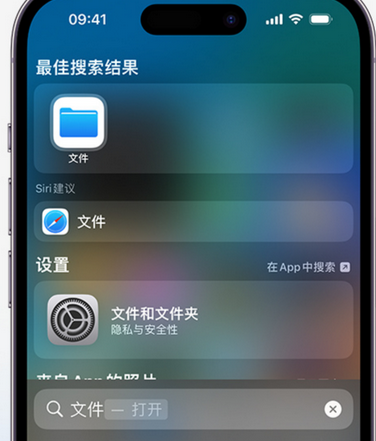 浦城apple维修中心分享iPhone文件应用中存储和找到下载文件 