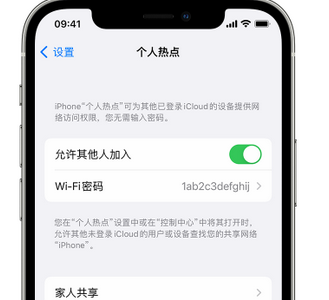 浦城apple服务站点分享iPhone上个人热点丢失了怎么办