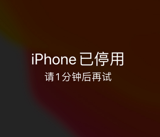 浦城苹果手机维修分享:iPhone 显示“不可用”或“已停用”怎么办？还能保留数据吗？ 