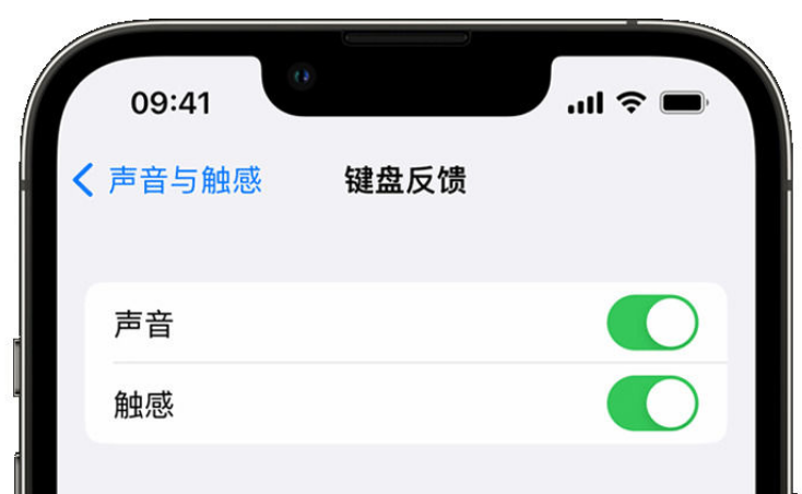 浦城苹果手机维修分享iPhone 14触感键盘使用方法 