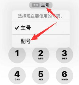 浦城苹果14维修店分享iPhone 14 Pro Max使用副卡打电话的方法 