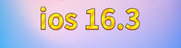 浦城苹果服务网点分享苹果iOS16.3升级反馈汇总 