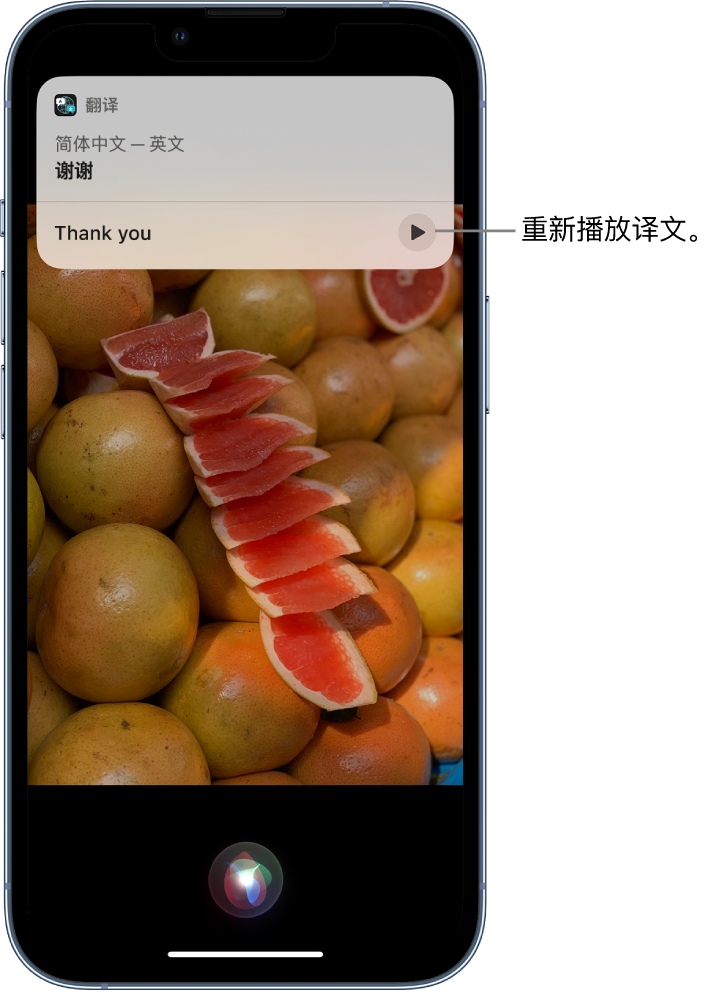 浦城苹果14维修分享 iPhone 14 机型中使用 Siri：了解 Siri 能帮你做什么 