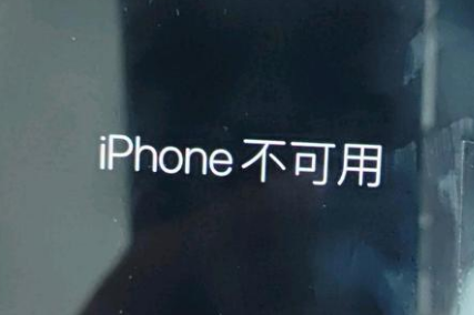 浦城苹果服务网点分享锁屏界面显示“iPhone 不可用”如何解决 