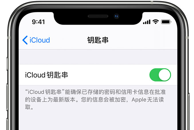 浦城苹果手机维修分享在 iPhone 上开启 iCloud 钥匙串之后会储存哪些信息 