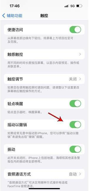 浦城苹果手机维修分享iPhone手机如何设置摇一摇删除文字 