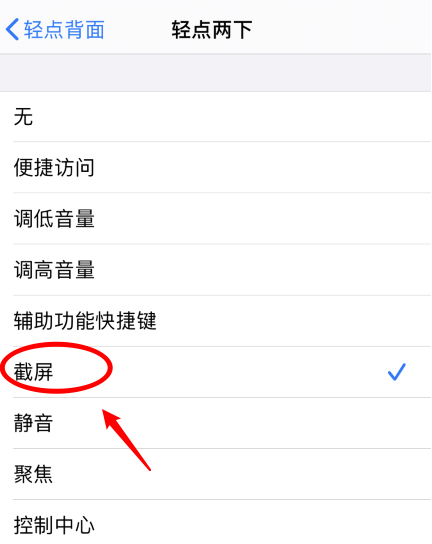 浦城苹果手机维修分享iPhone12如何启用双击截屏 